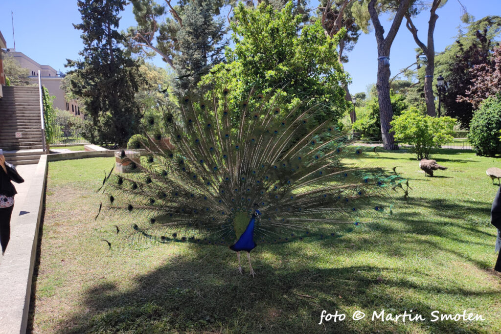 Parque del Retiro Madrid