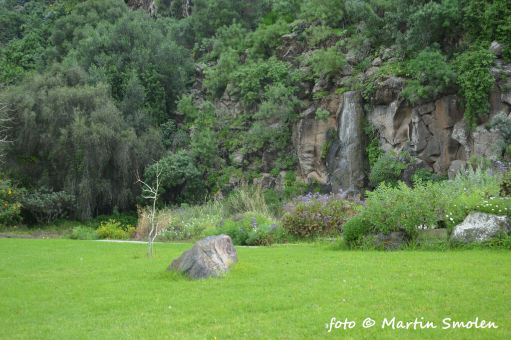 Jardín Botánico Canario