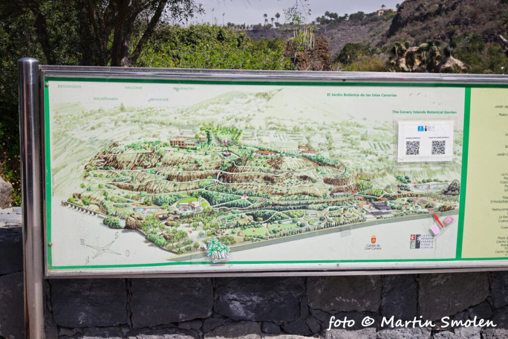 Jardín Botánico Canario