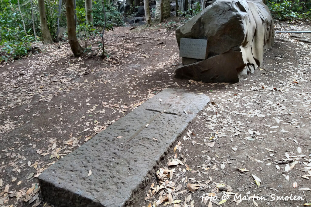 Jardín Botánico Canario