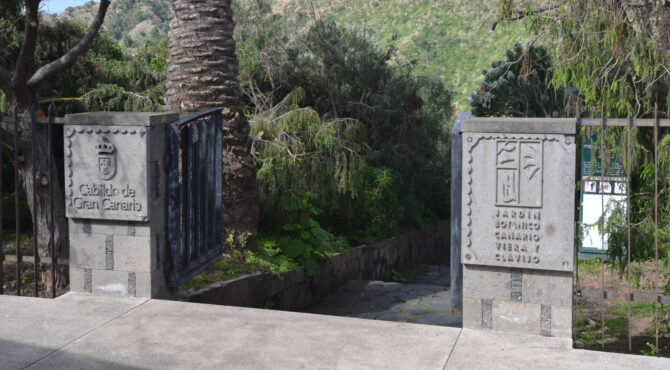 Jardín Botánico Canario