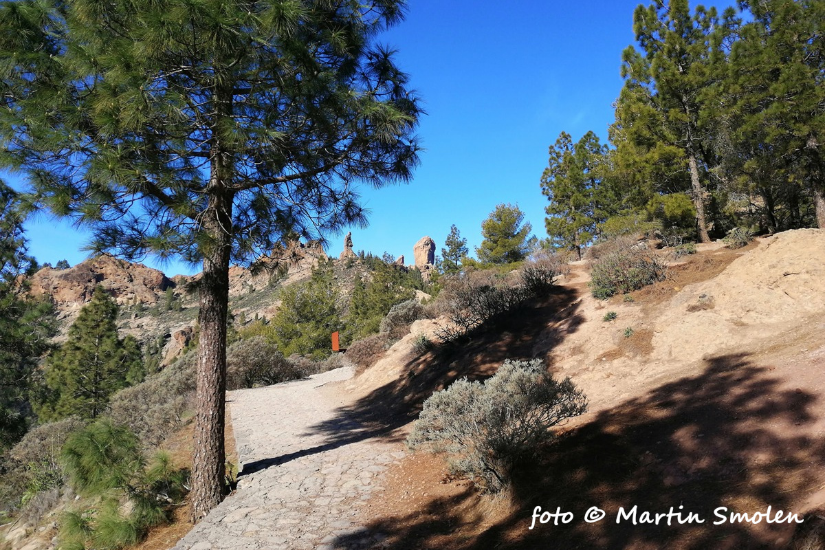Roque Nublo Roque Nublo