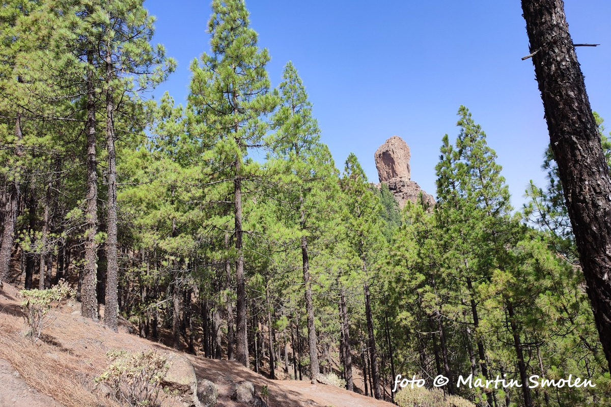 Roque Nublo Roque Nublo