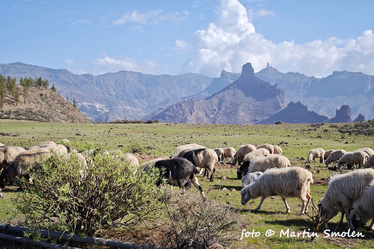Roque Nublo Roque Nublo