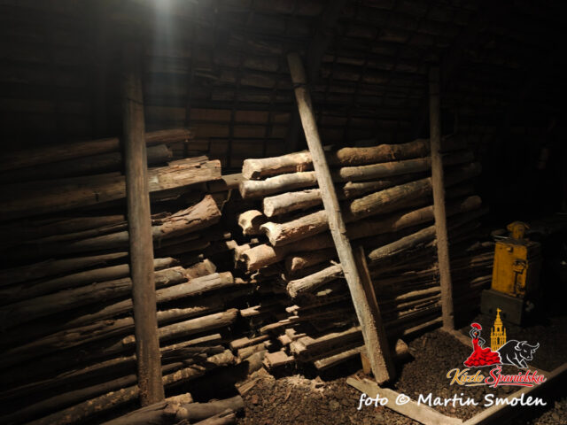 Museo de la Minería y de la Industria de Asturias