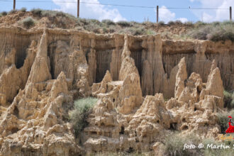 Aguarales de Valpalmas