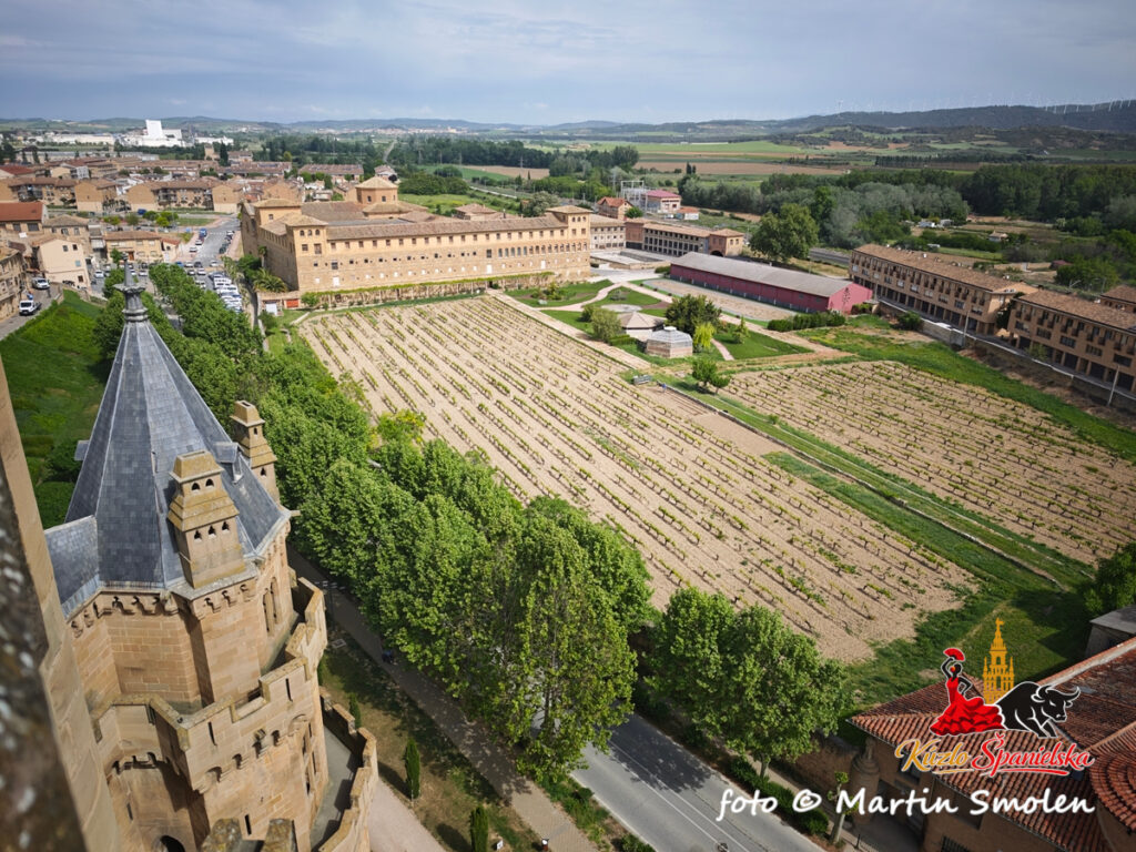 Olite