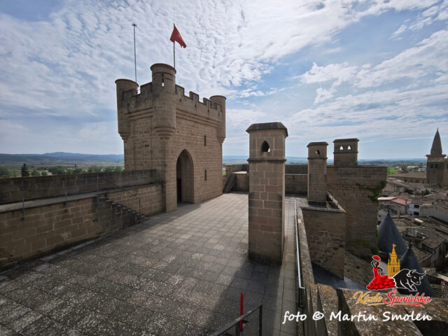 Palacio Real de Olite Palacio Real de Olite