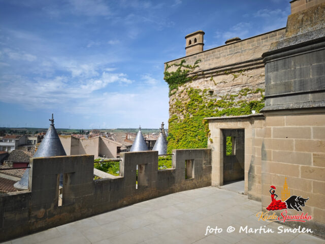Palacio Real de Olite Palacio Real de Olite