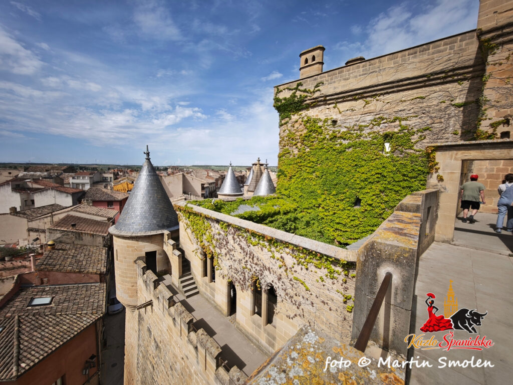 Palacio Real de Olite