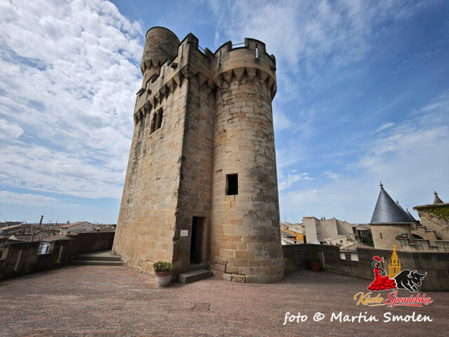 Palacio Real de Olite Palacio Real de Olite