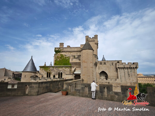 Palacio Real de Olite Palacio Real de Olite