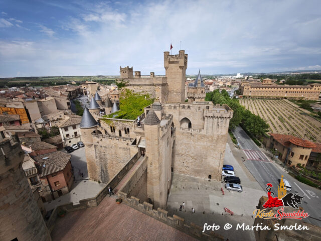 Palacio Real de Olite Palacio Real de Olite