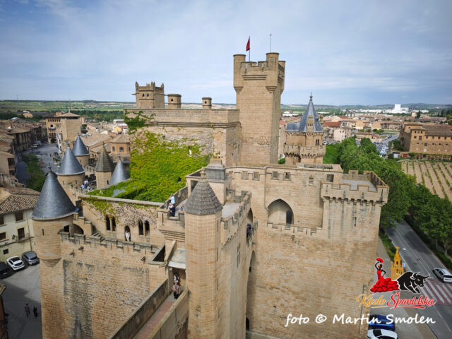 Palacio Real de Olite Palacio Real de Olite
